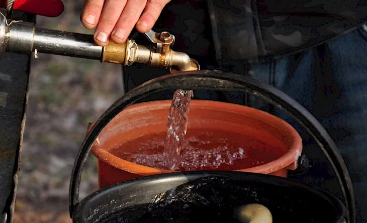 WhatsApp Image 2025-03-24 at 15.39.47.jpeg