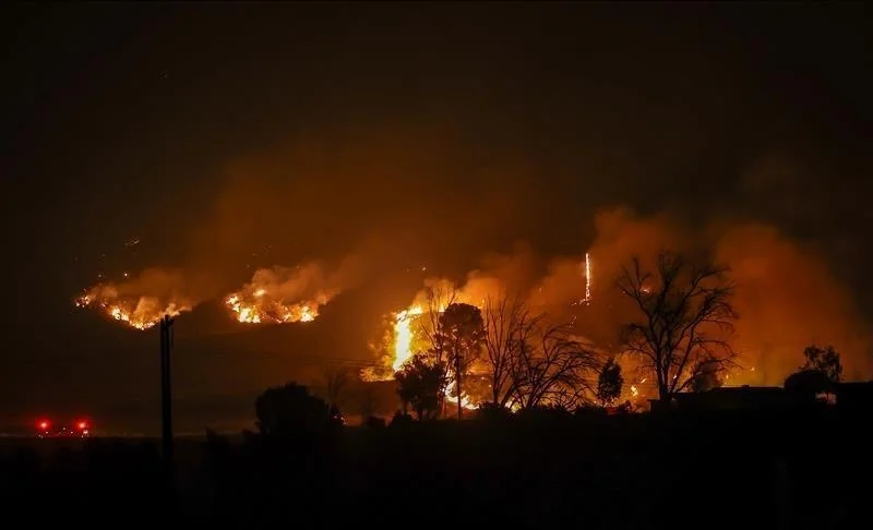 WhatsApp Image 2025-04-02 at 06.13.32.jpeg