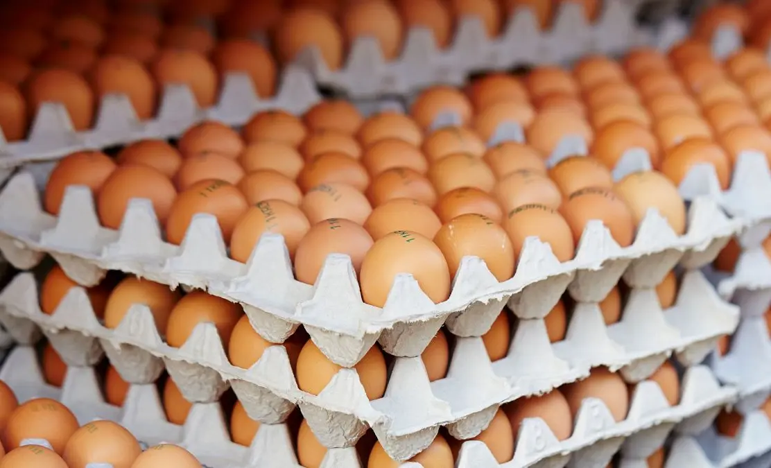 WhatsApp Image 2025-02-21 at 06.56.02.jpeg