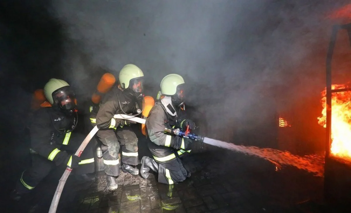 WhatsApp Image 2025-06-13 at 12.06.51 PM.jpeg