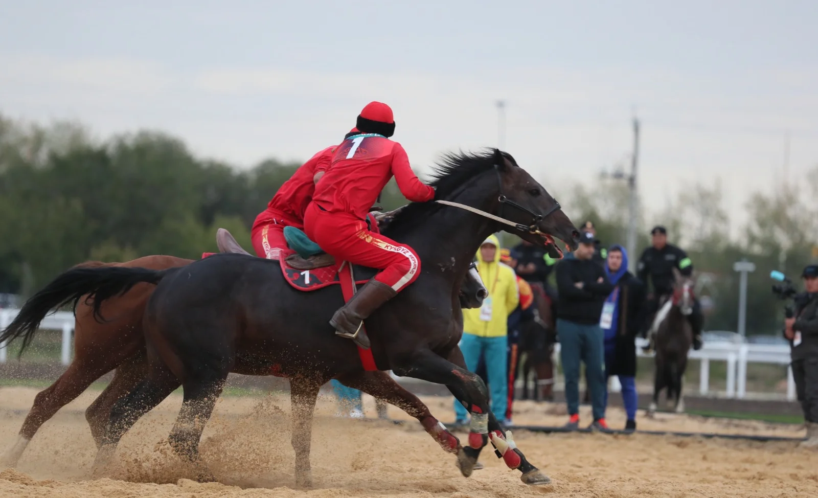 WhatsApp Image 2025-03-25 at 12.11.37.jpeg