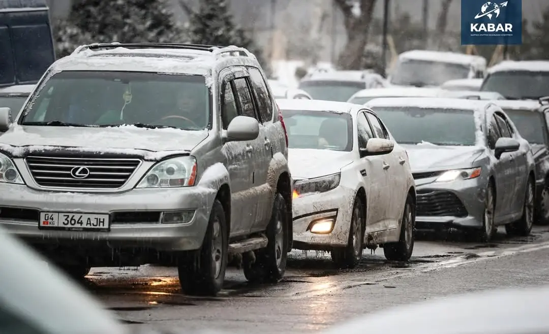 WhatsApp Image 2025-01-27 at 17.30.00.jpeg