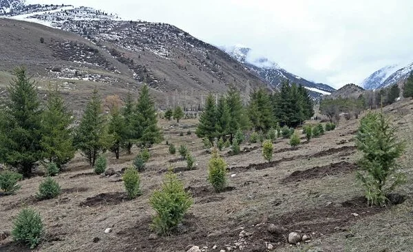 WhatsApp Image 2025-06-25 at 10.59.18.jpeg