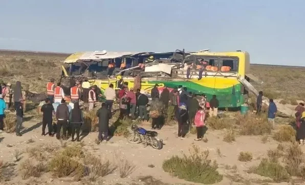 WhatsApp Image 2025-10-28 at 17.31.00.jpeg