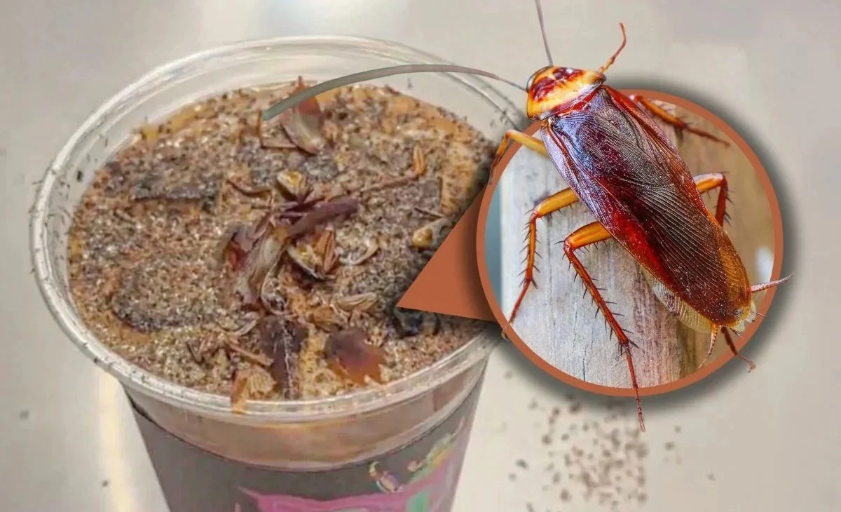 WhatsApp Image 2025-11-21 at 08.31.18.jpeg