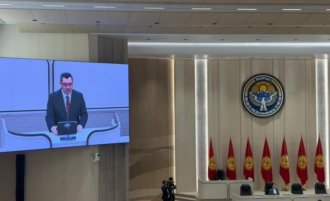 WhatsApp Image 2025-12-17 at 12.13.59.jpeg