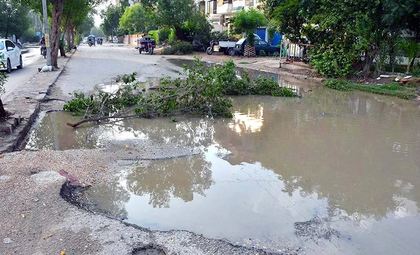 WhatsApp Image 2025-06-30 at 08.33.04.jpeg