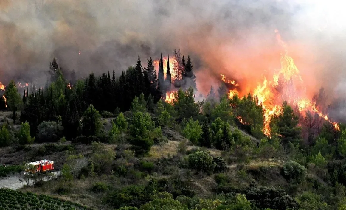 WhatsApp Image 2025-07-08 at 17.15.16.jpeg