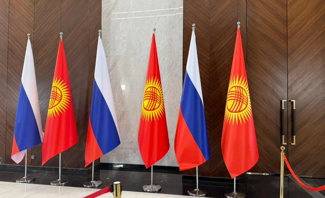 WhatsApp Image 2025-11-26 at 11.13.54.jpeg