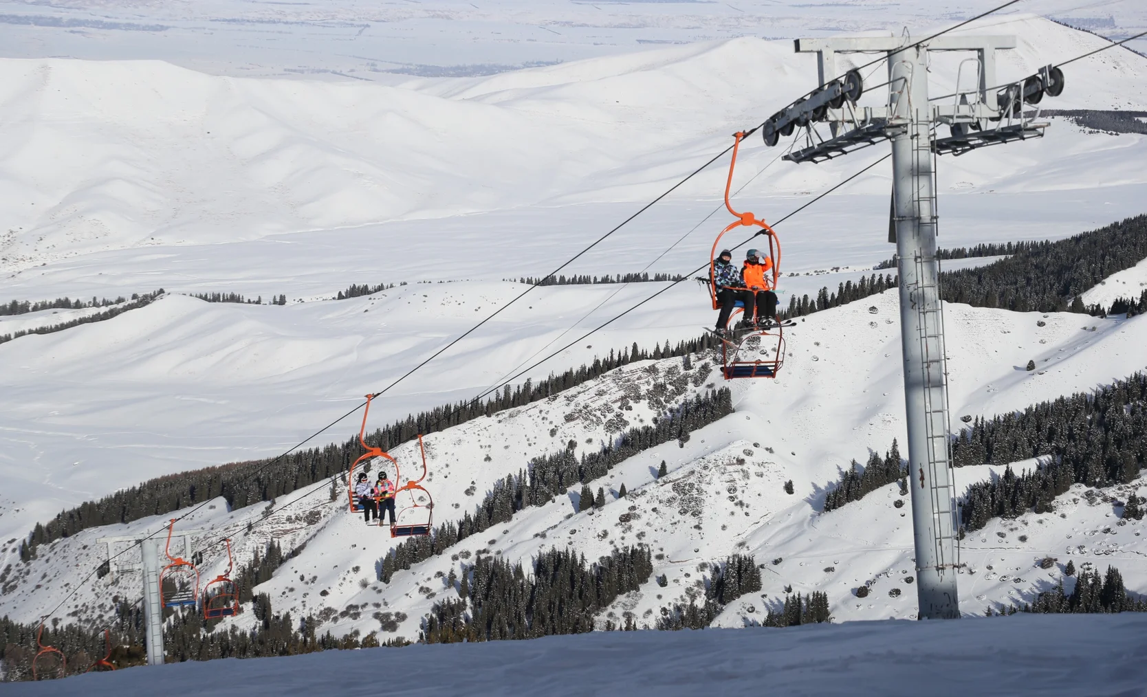 WhatsApp Image 2025-12-22 at 14.56.22.jpeg