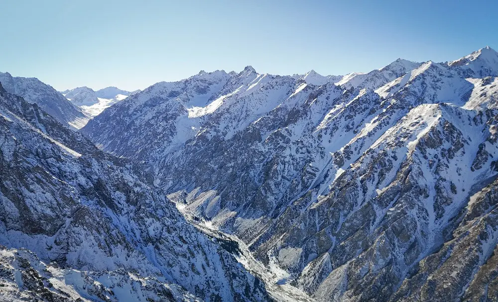 WhatsApp Image 2025-02-01 at 15.54.42 (2).jpeg