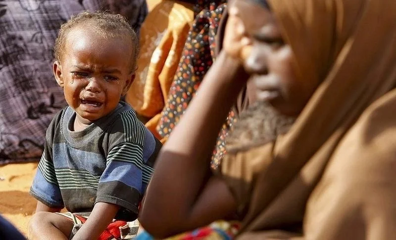 WhatsApp Image 2025-10-17 at 16.03.42.jpeg