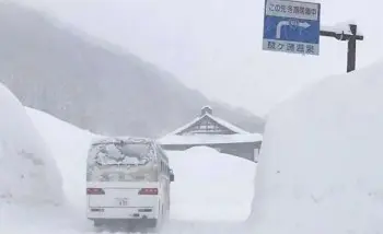 WhatsApp Image 2025-02-24 at 07.00.03.jpeg