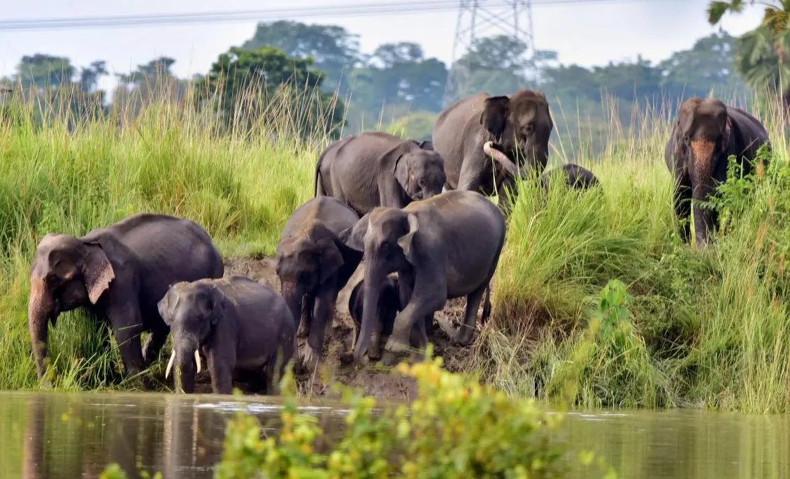 WhatsApp Image 2025-02-26 at 07.10.08.jpeg