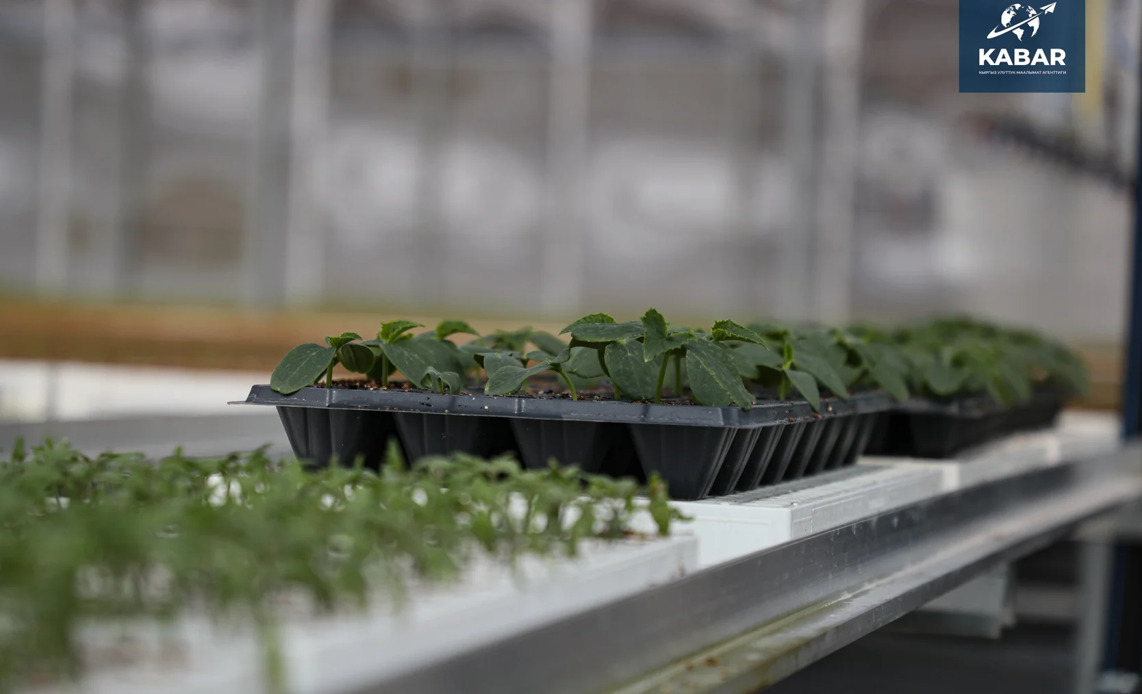 WhatsApp Image 2025-12-22 at 15.04.45.jpeg