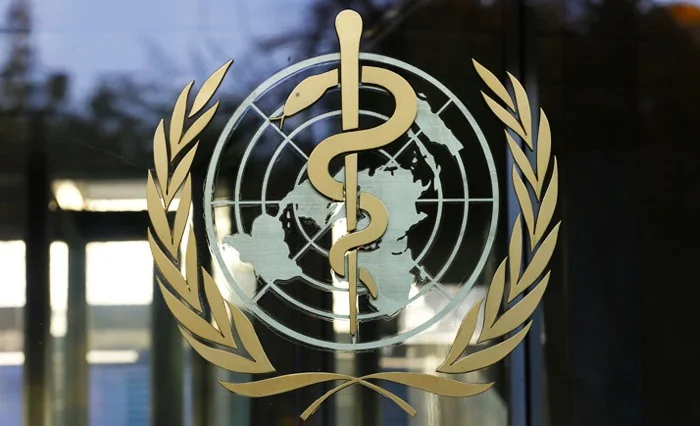 WhatsApp Image 2025-07-03 at 12.27.52.jpeg