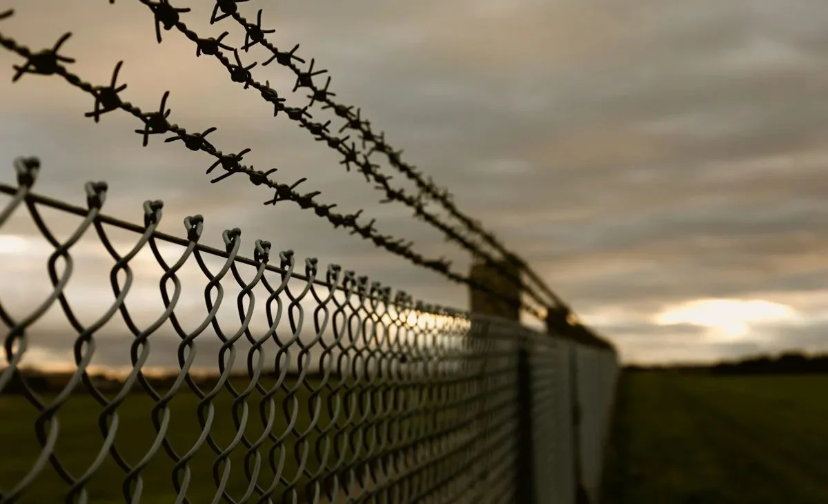 WhatsApp Image 2025-07-17 at 09.49.22.jpeg