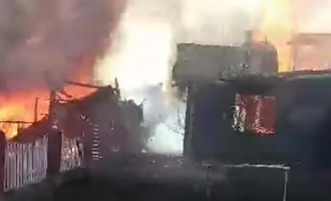 WhatsApp Image 2025-11-01 at 15.37.45.jpeg