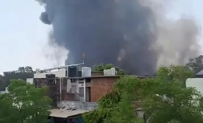 WhatsApp Image 2025-06-12 at 15.02.44.jpeg