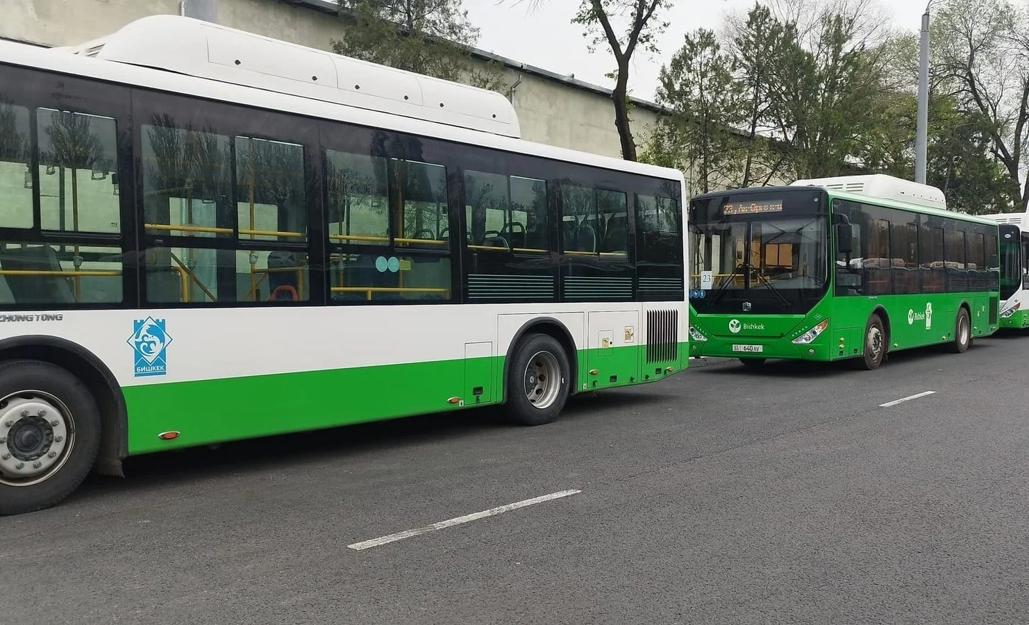 WhatsApp Image 2025-12-24 at 17.47.43.jpeg