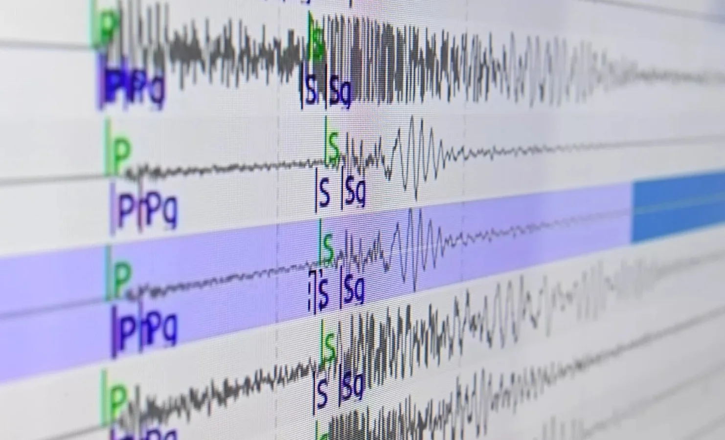 WhatsApp Image 2025-10-17 at 10.53.46.jpeg