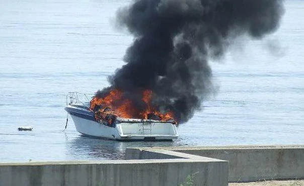 WhatsApp Image 2025-06-10 at 08.53.55.jpeg