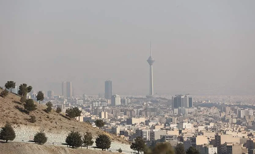 WhatsApp Image 2025-11-21 at 08.08.13.jpeg