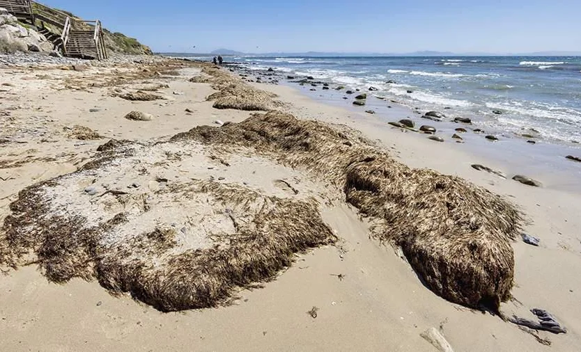 WhatsApp Image 2025-07-28 at 08.44.31.jpeg