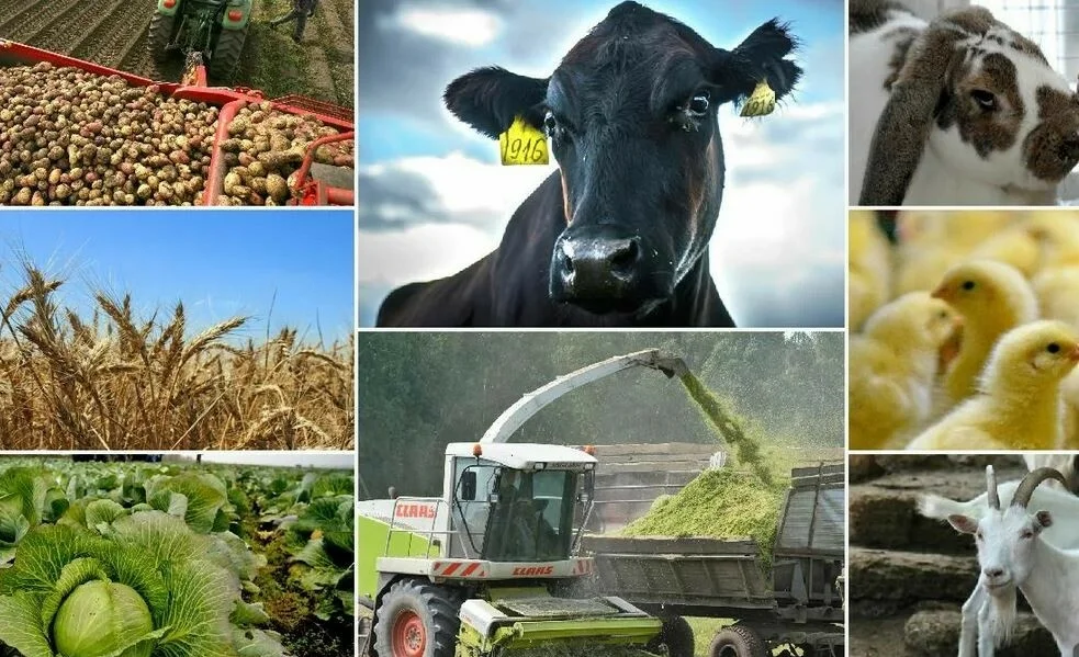 WhatsApp Image 2025-12-23 at 10.20.19.jpeg