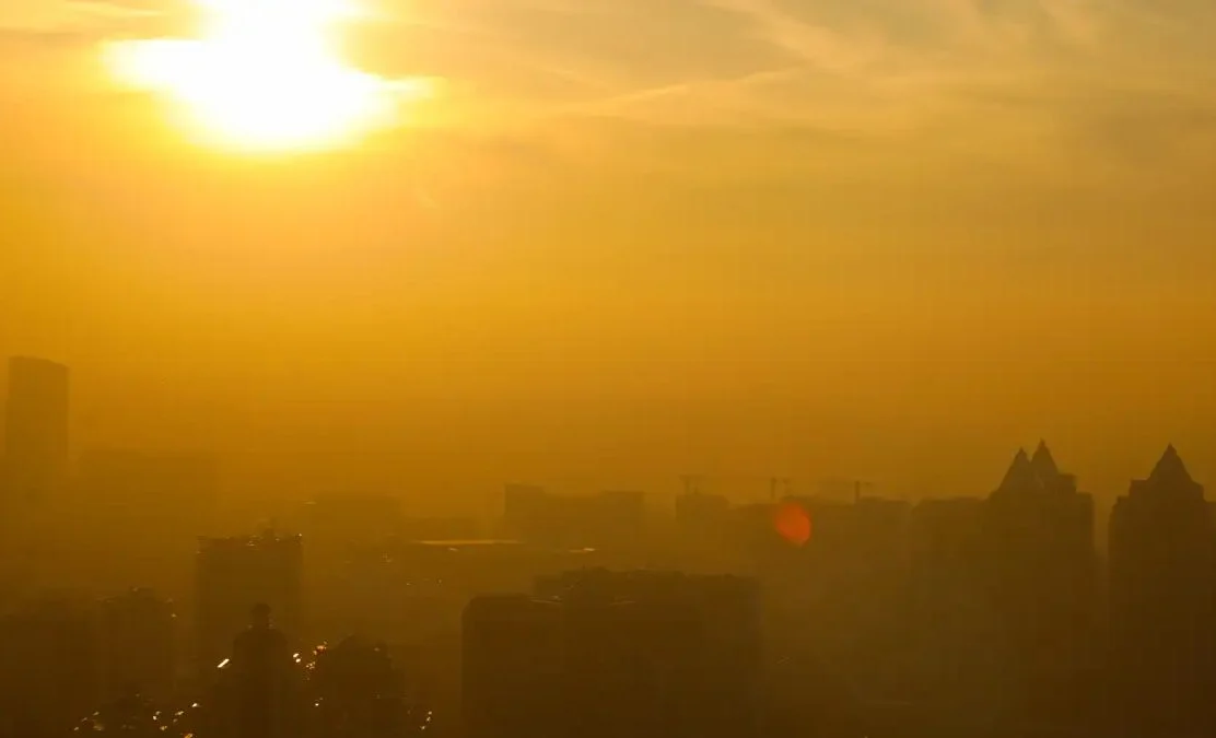 WhatsApp Image 2025-07-30 at 09.03.07.jpeg