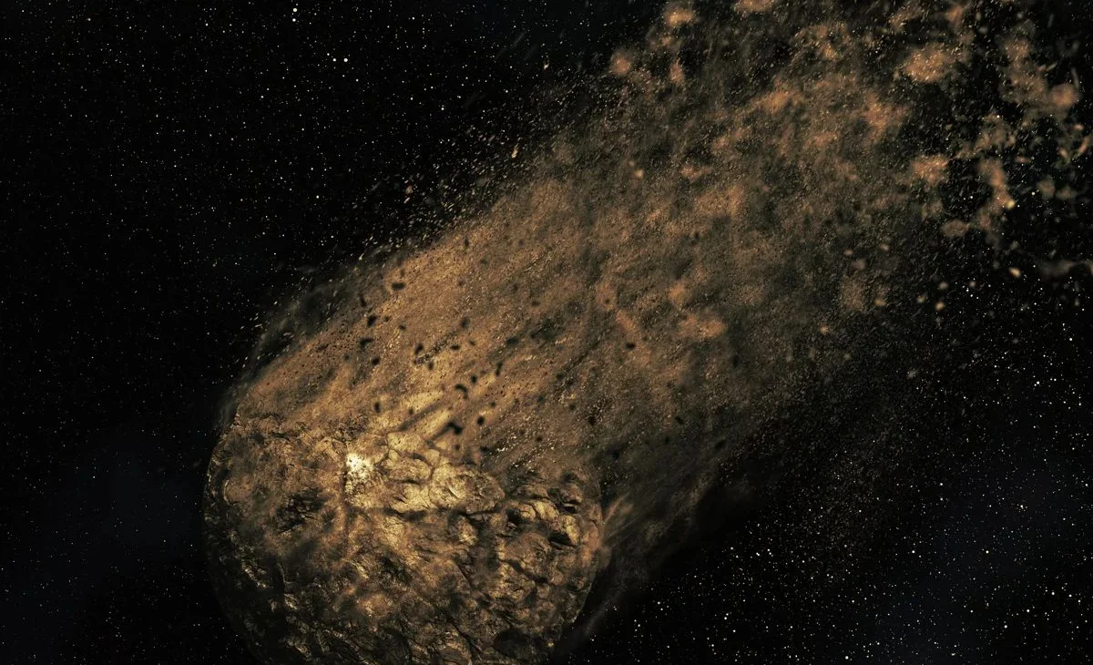 WhatsApp Image 2025-08-12 at 08.52.13.jpeg