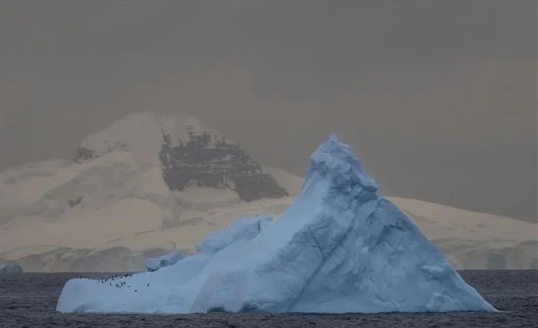 WhatsApp Image 2025-11-06 at 09.09.12.jpeg