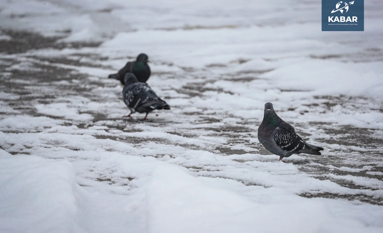 WhatsApp Image 2025-12-10 at 11.57.26 (1).jpeg