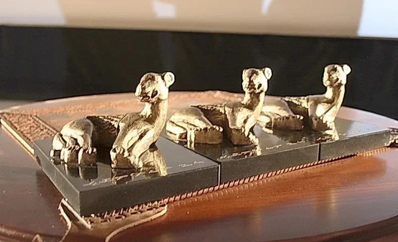 WhatsApp Image 2025-03-20 at 12.49.55.jpeg