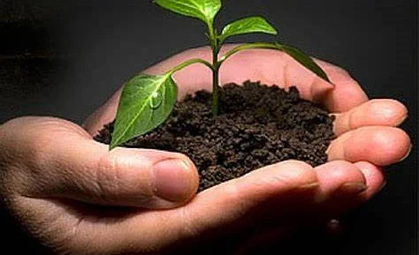 WhatsApp Image 2025-02-28 at 10.22.05.jpeg