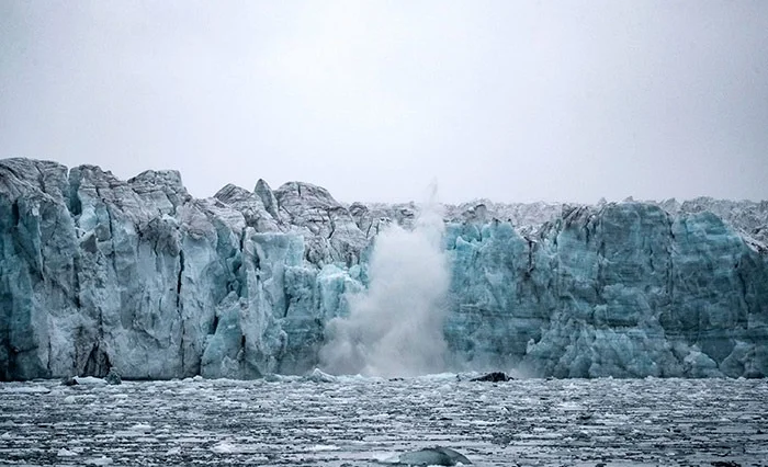 WhatsApp Image 2025-04-03 at 09.27.10.jpeg