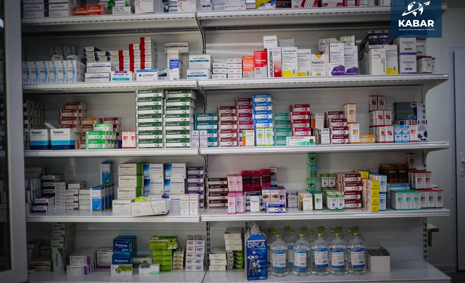 WhatsApp Image 2025-12-04 at 15.25.31.jpeg