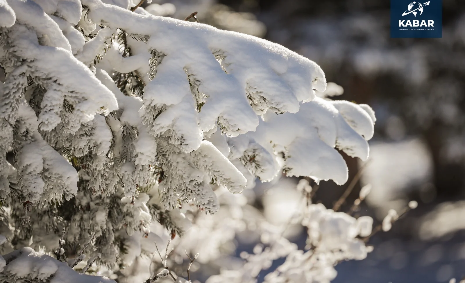 WhatsApp Image 2025-12-30 at 16.44.53.jpeg