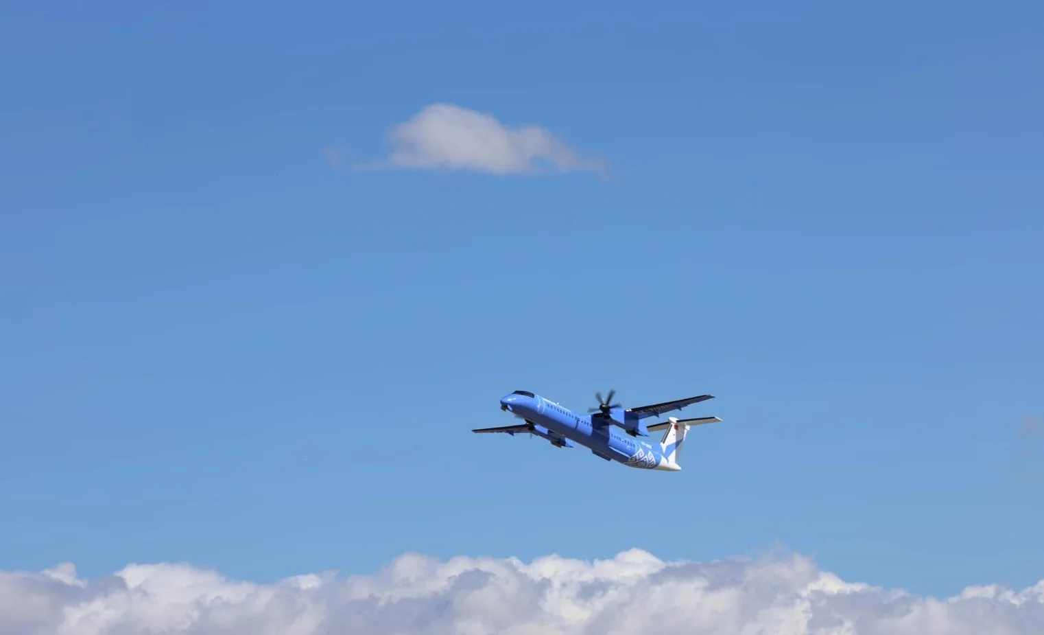 WhatsApp Image 2025-06-13 at 2.15.51 PM.jpeg