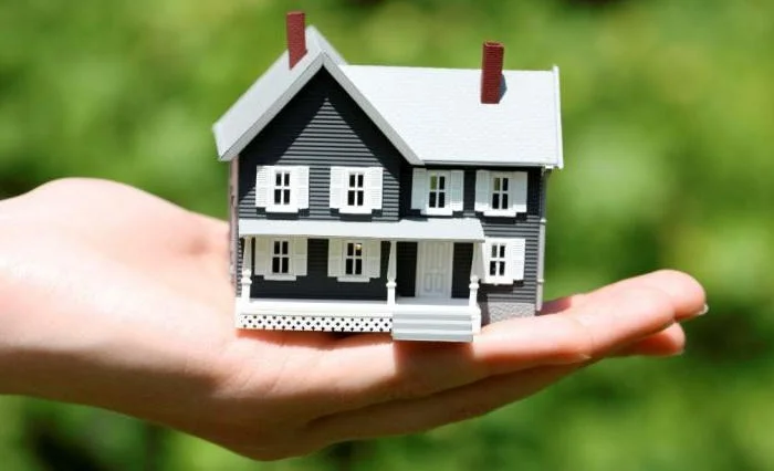 WhatsApp Image 2025-11-12 at 17.51.37.jpeg