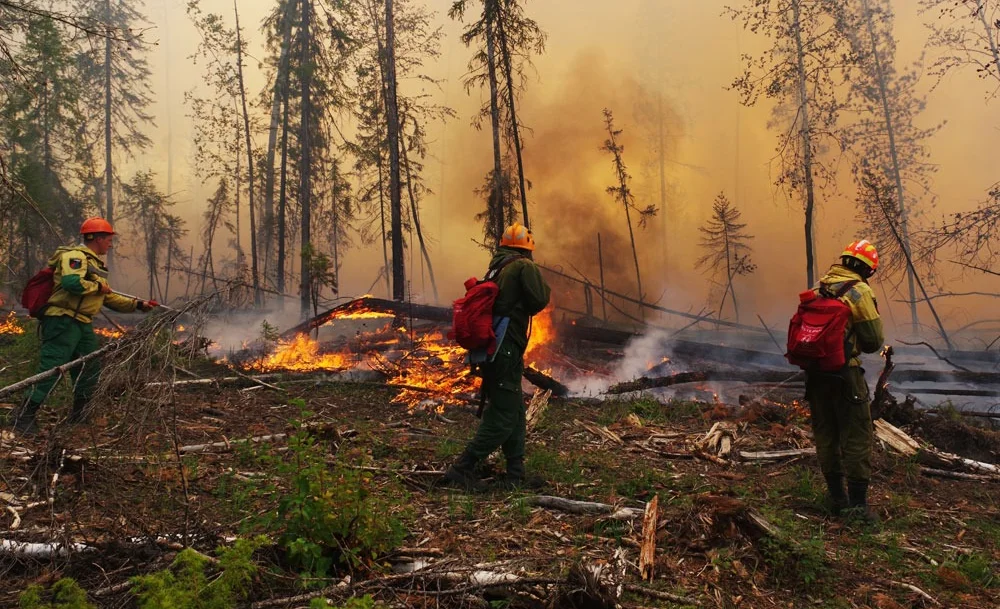 WhatsApp Image 2025-08-28 at 13.16.36.jpeg