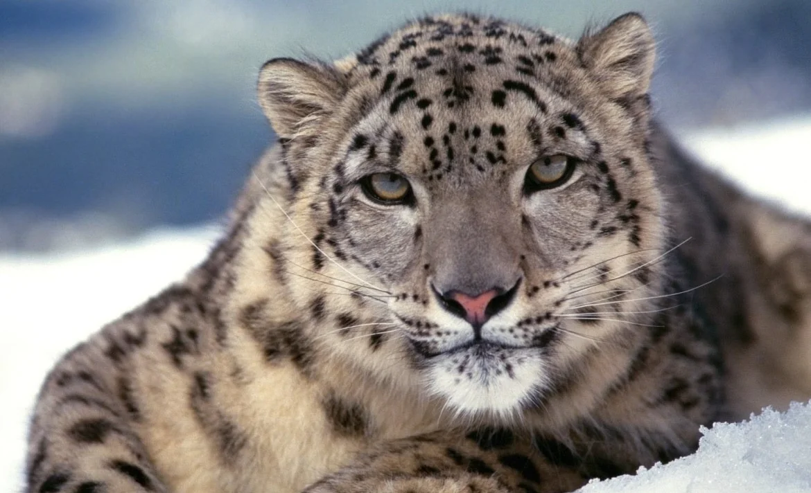 WhatsApp Image 2025-09-09 at 11.17.09.jpeg