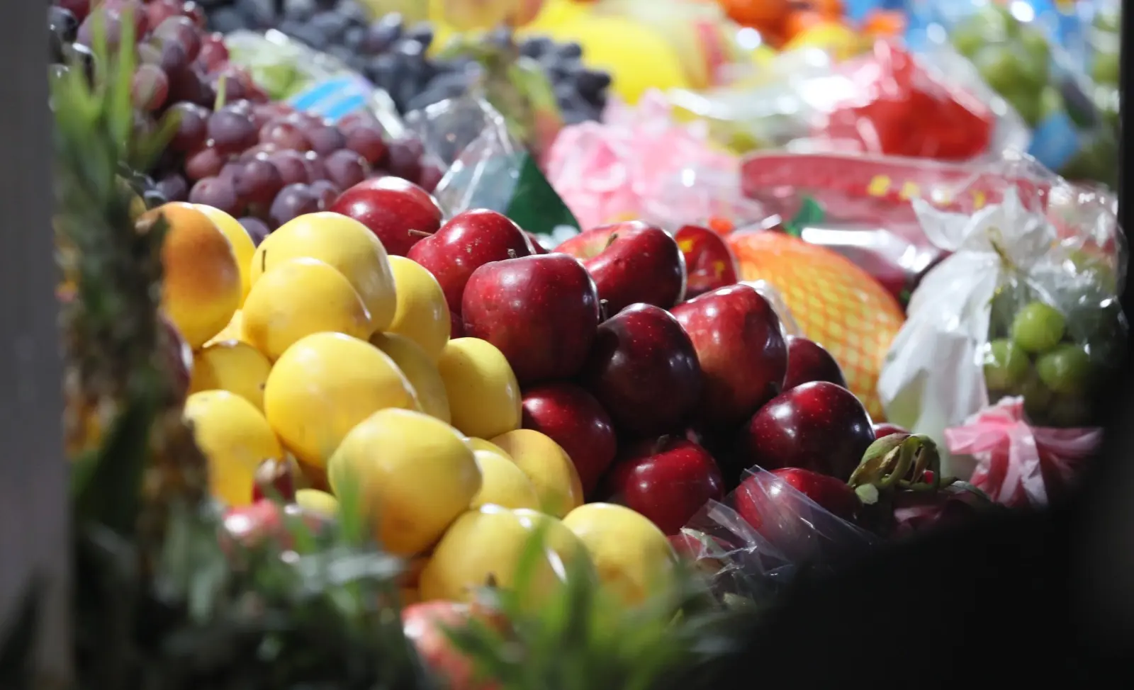 WhatsApp Image 2025-02-19 at 08.41.06 (1).jpeg