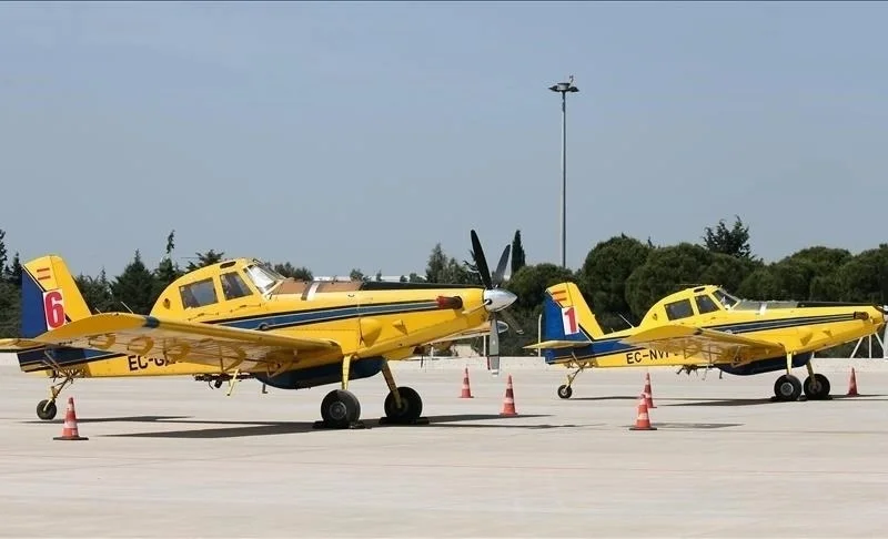 WhatsApp Image 2025-11-14 at 12.07.48.jpeg