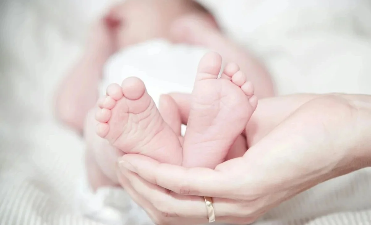 WhatsApp Image 2025-12-12 at 08.51.27.jpeg