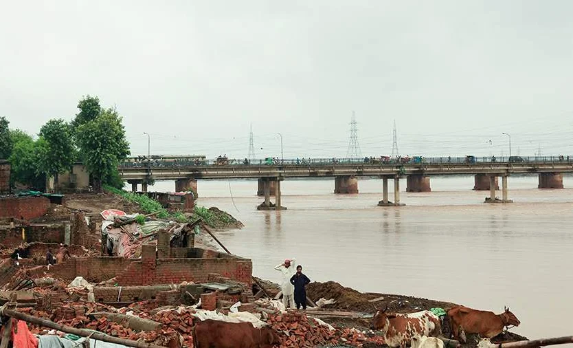 WhatsApp Image 2025-09-02 at 08.52.44.jpeg