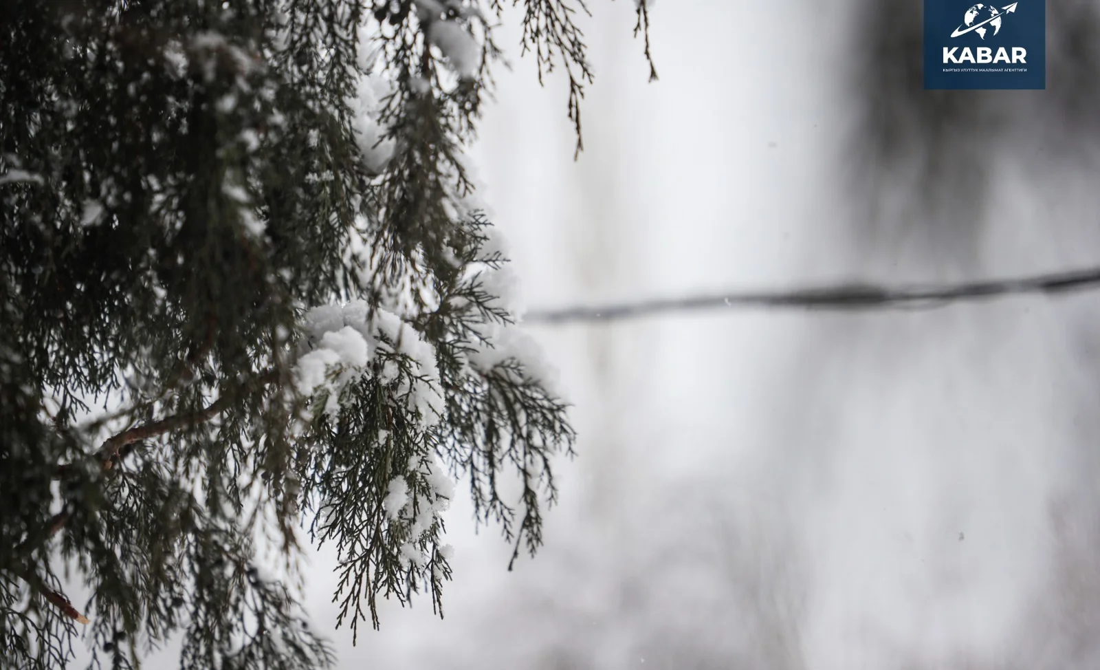 WhatsApp Image 2025-12-08 at 16.57.47.jpeg