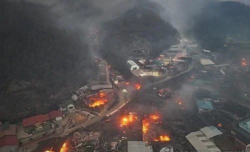 WhatsApp Image 2025-03-26 at 12.34.32.jpeg