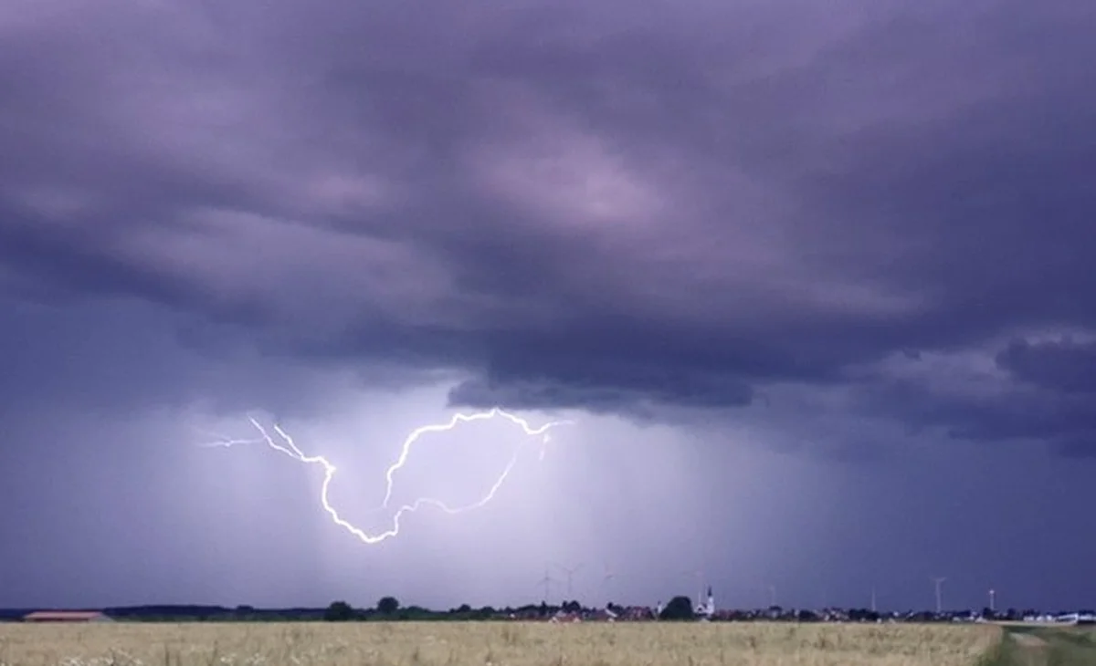 WhatsApp Image 2025-07-15 at 11.48.09.jpeg