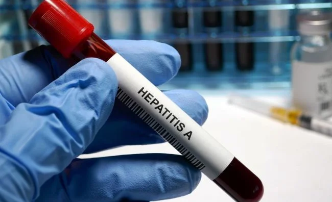 WhatsApp Image 2025-05-14 at 06.14.28.jpeg